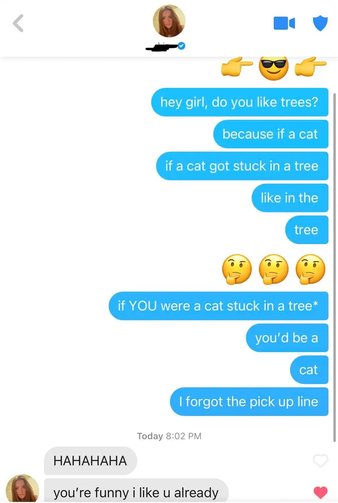 Humorous image of a cat stuck in a tree with funny text overlay.