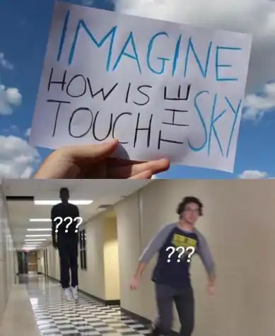 Person holding a sign that says "IMAGINE HOW IS TOUCH THE SKY" against a blue sky background.