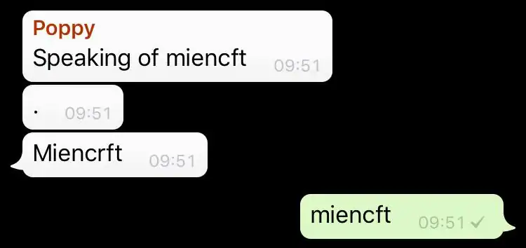 Humorous meme showing misspelled words "miencft" and "Miencrft" in chat bubbles.