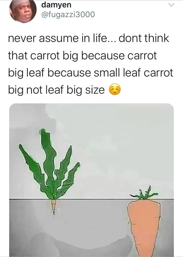 Humorous image of a carrot and a leafy plant with a motivational message.