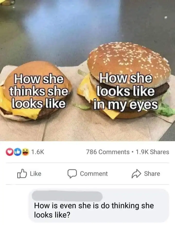 Comparison of perceived vs. actual appearance of a cheeseburger.