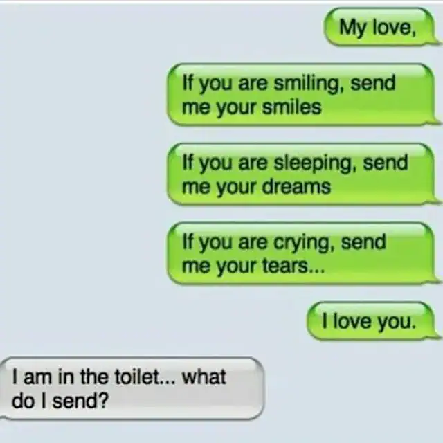 Humorous text message exchange about sending emotional messages from the toilet.