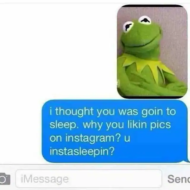 Frog puppet with a funny text message about Instagram and sleeping habits.