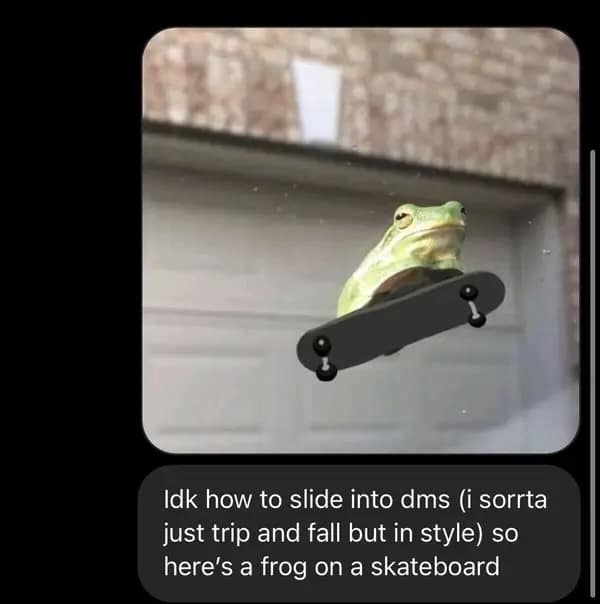 Frog balancing on a skateboard in a garage, humorously mimicking a skateboarding trick.