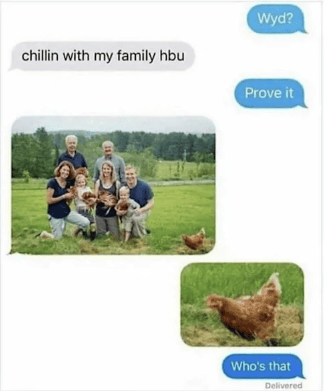 Family enjoying time outdoors with chickens, capturing a humorous and warm moment.