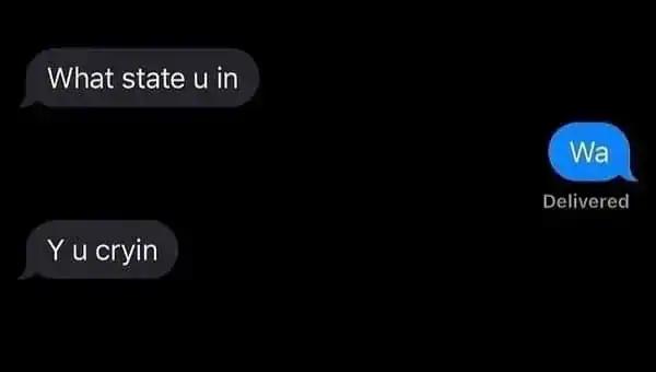 Humorous text message exchange highlighting funny communication moments.