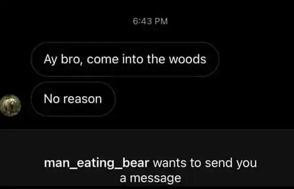 Funny text message about a bear inviting someone into the woods.