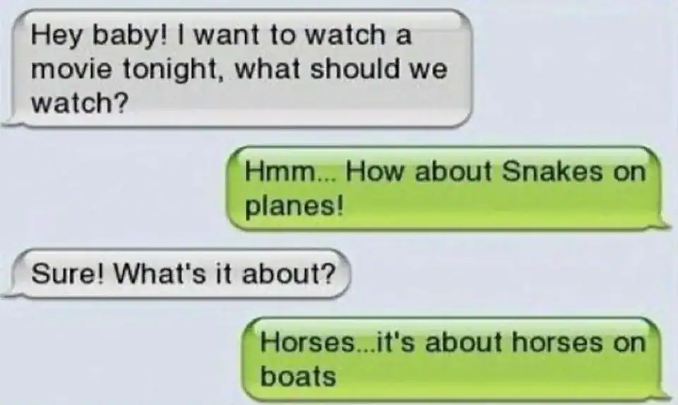 Humorous text exchange about animals on planes and boats, with playful dialogue.