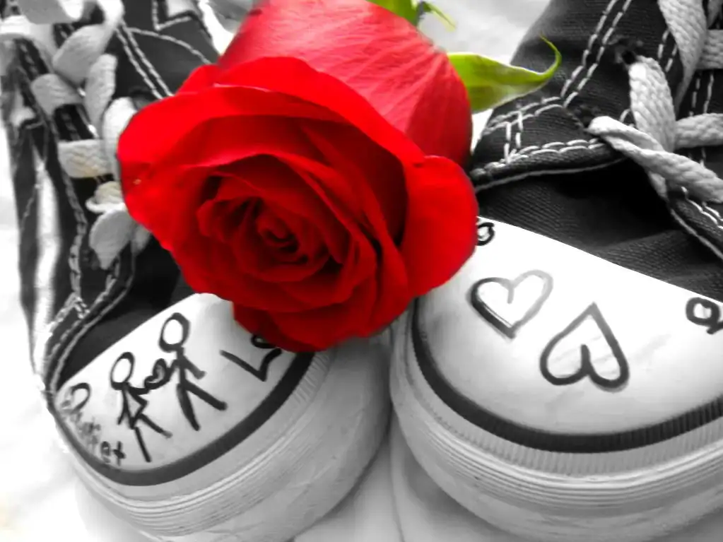 Red rose placed on black and white love-themed sneakers with heart and couple drawings.