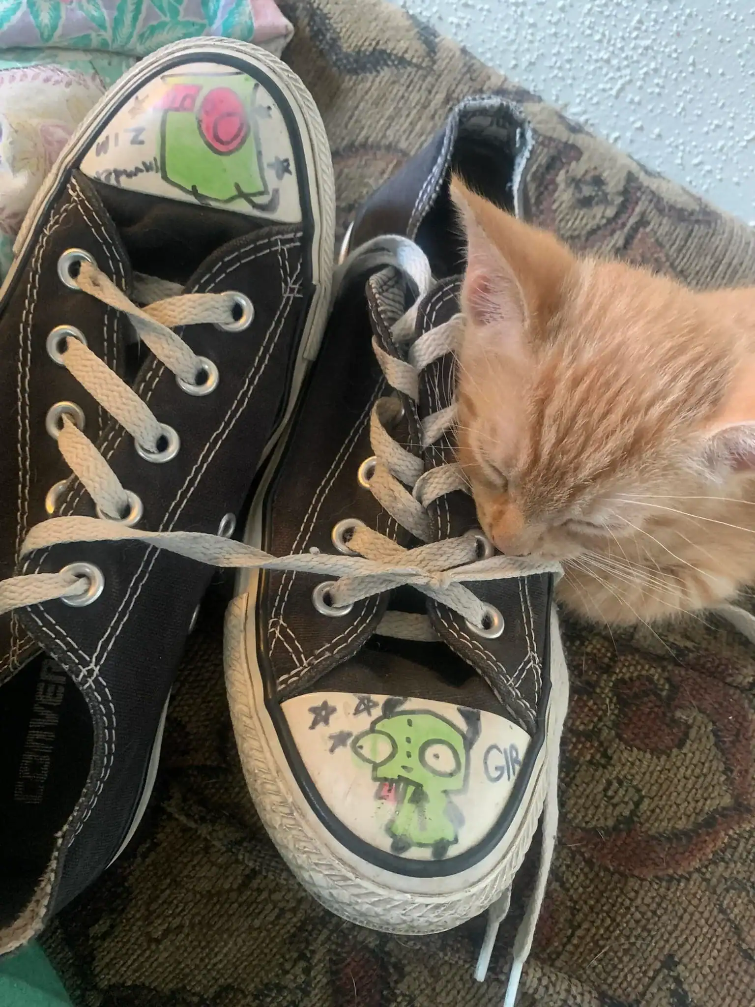 Cute orange cat sniffing black and white cartoon sneakers with a green pig design.