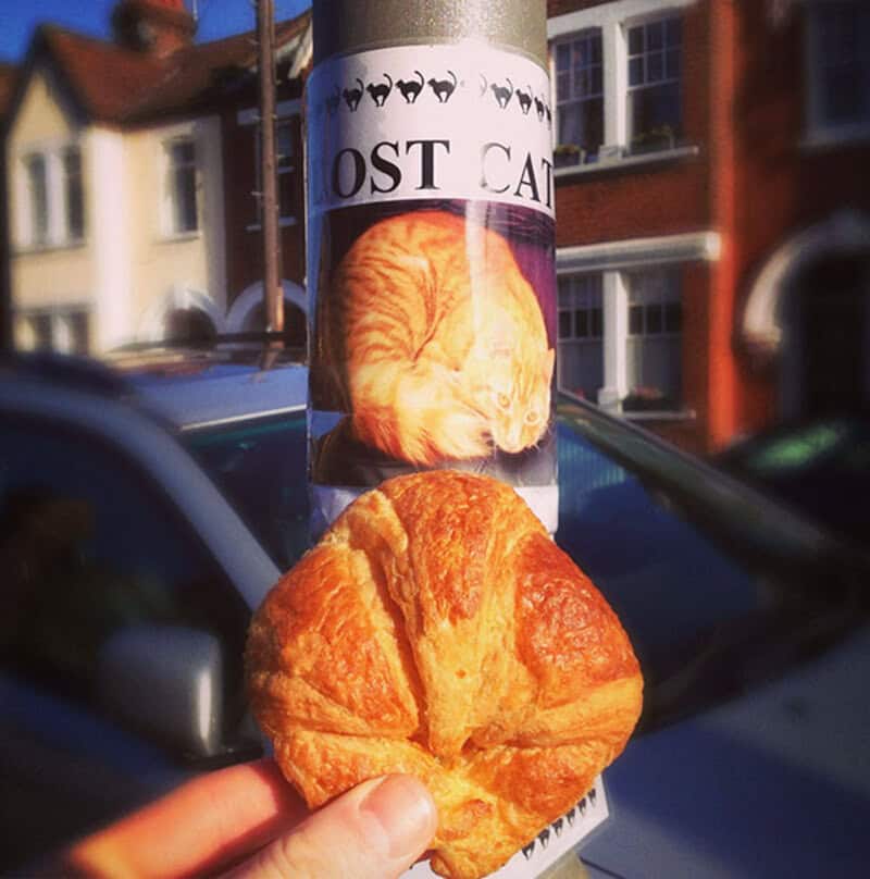 Adorable orange tabby cat sleeping on a street lamp post with a croissant in front of it, in a livel.