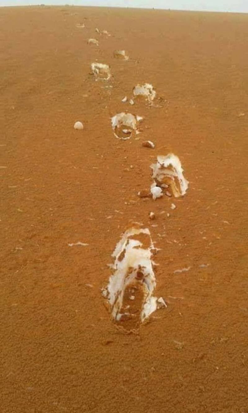 Footprints in desert sand with a trail leading into the distance.
