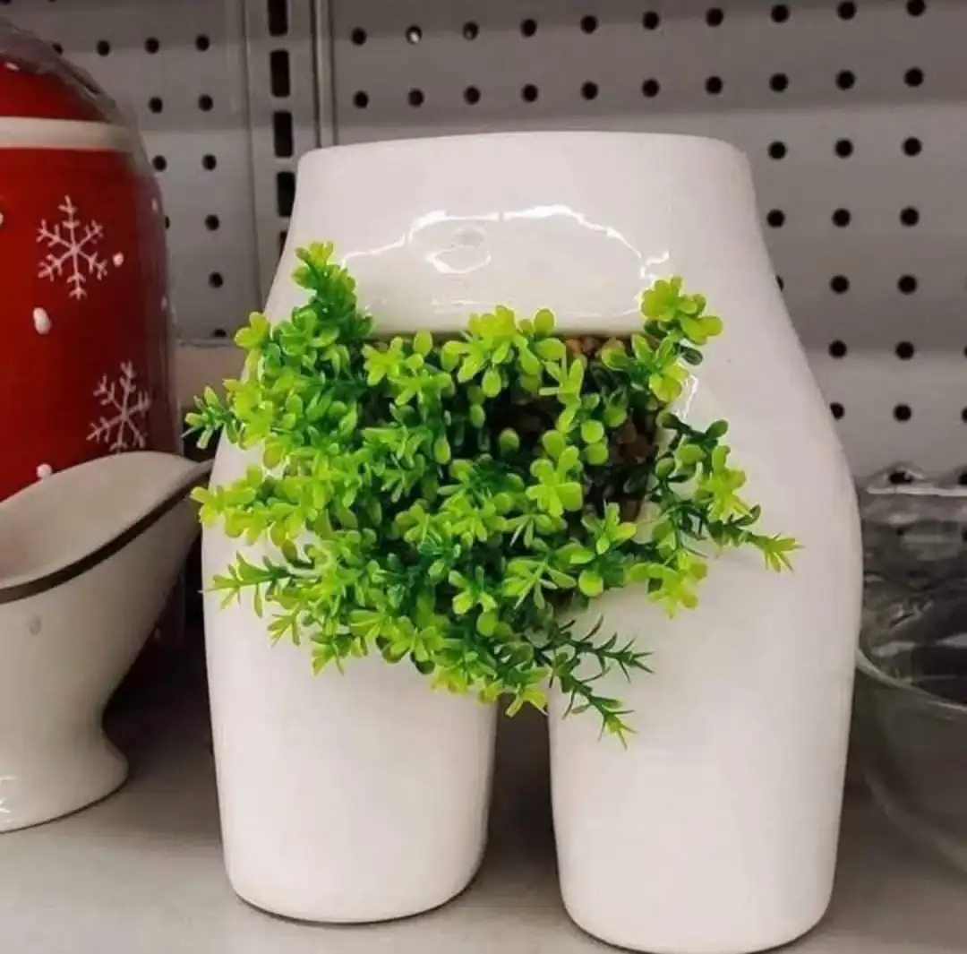Modern white ceramic vase with a lush green plant, stylish home decor piece.