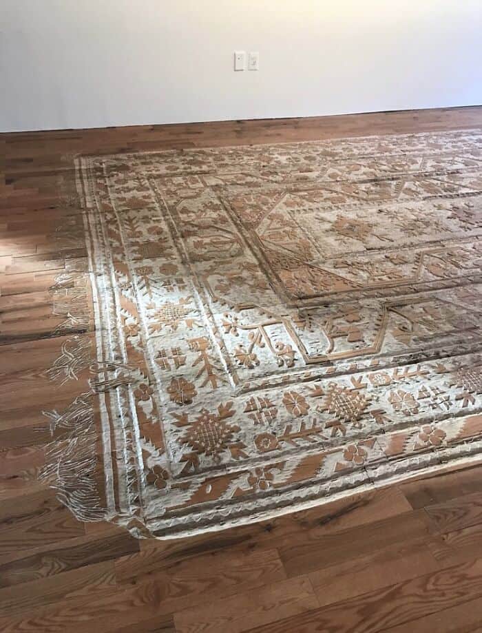 Vintage floral area rug with fringed edges on hardwood floor in a minimal room.
