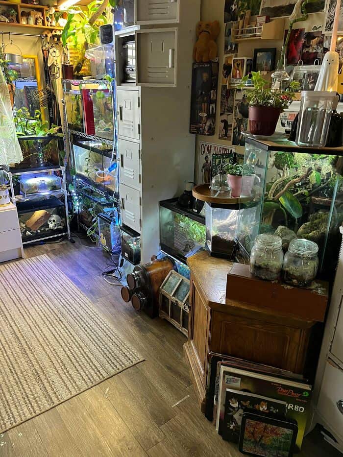 Bright indoor space featuring multiple aquariums and lush green plants on shelves and tables.