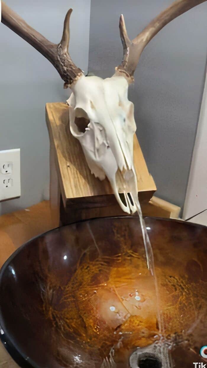Deer skull with antlers mounted on a wooden plaque, serving as a unique water fountain feature.