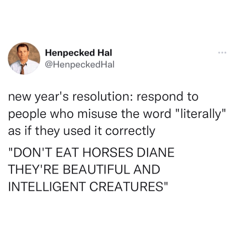Humorous Pleated Jeans logo featuring the phrase "DON'T EAT HORSES DIANE THEY'RE BEAUTIFUL AND INTEL.