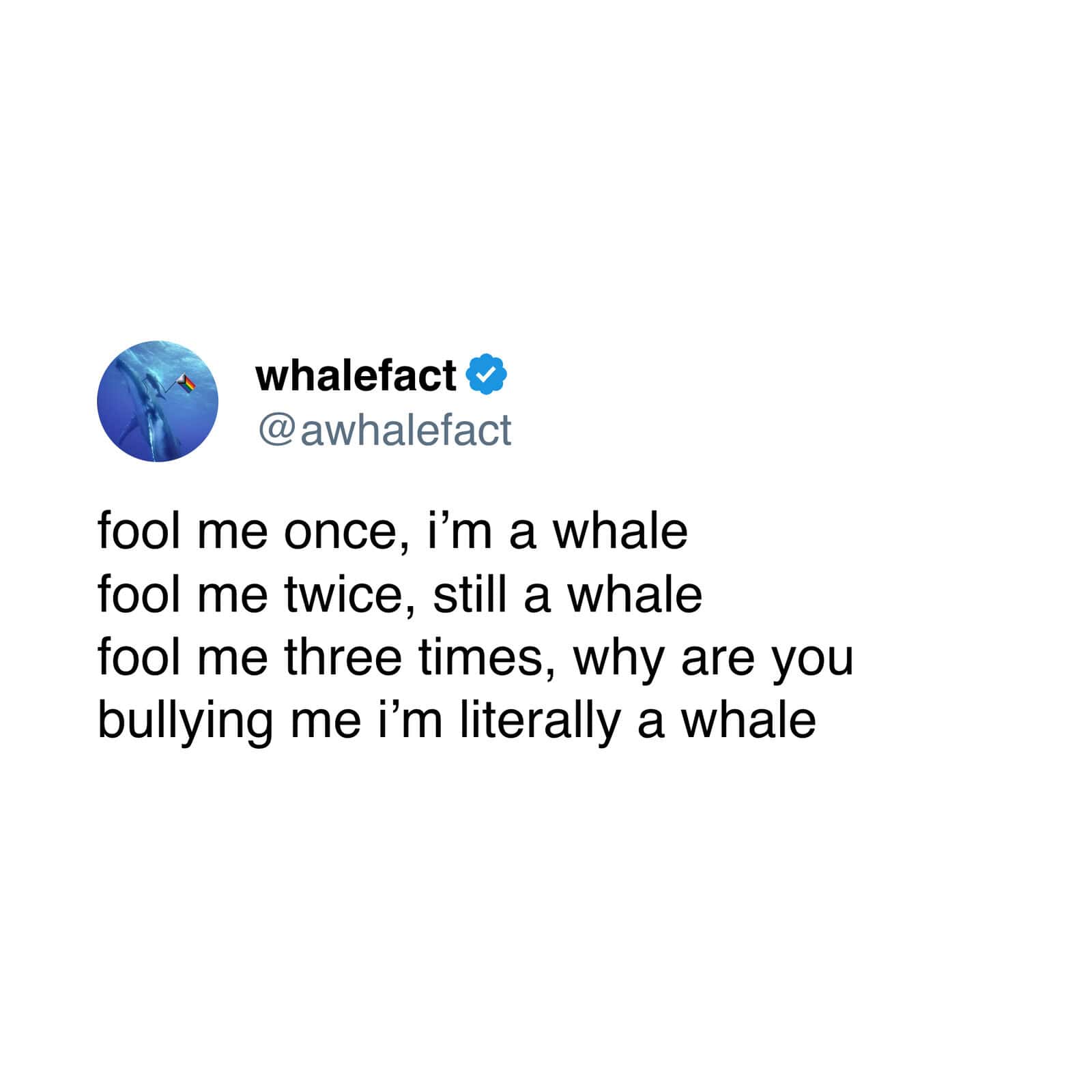 Humorous whale meme with satirical lyrics about being a whale.