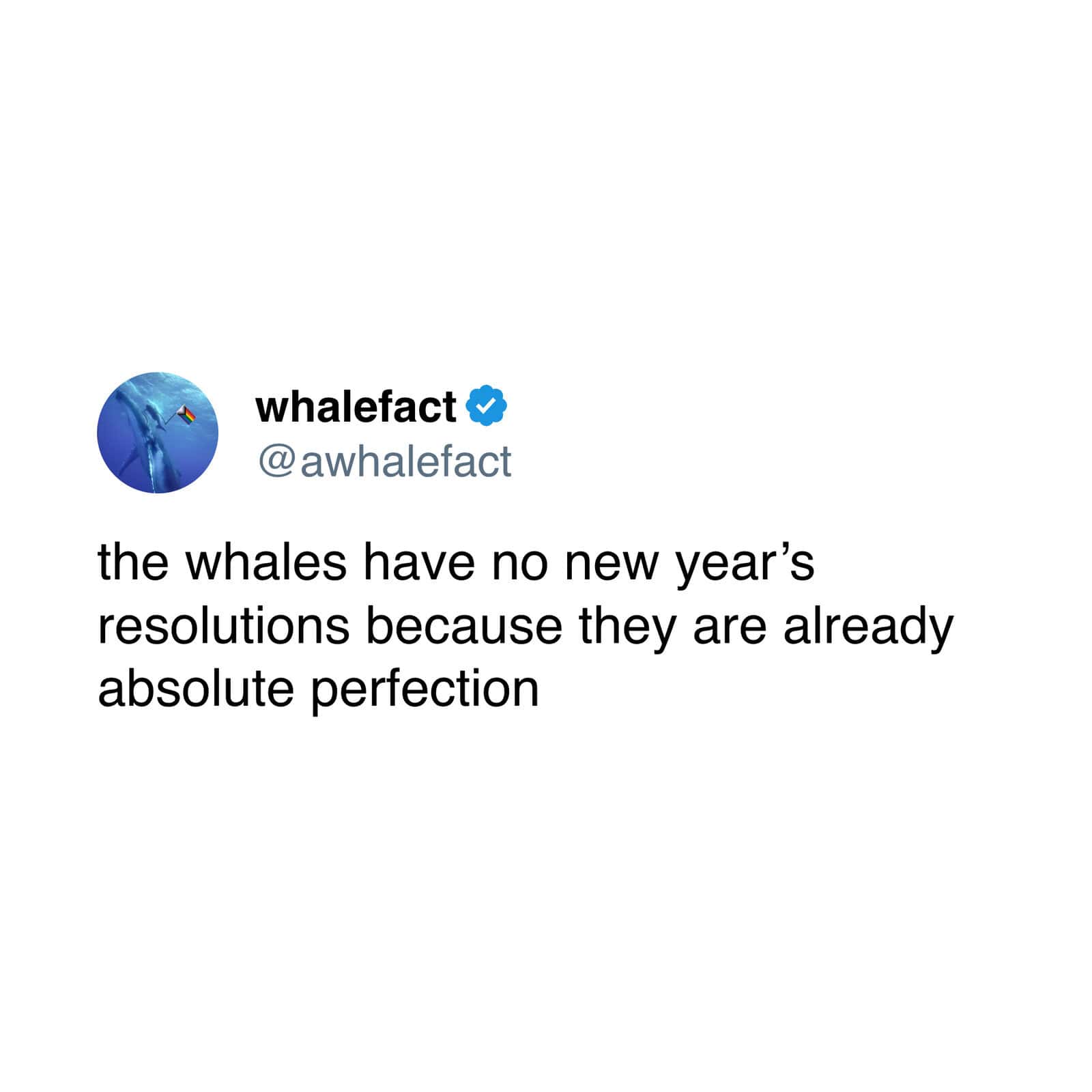 Whale Fact satirical tweet about whales' perfection.