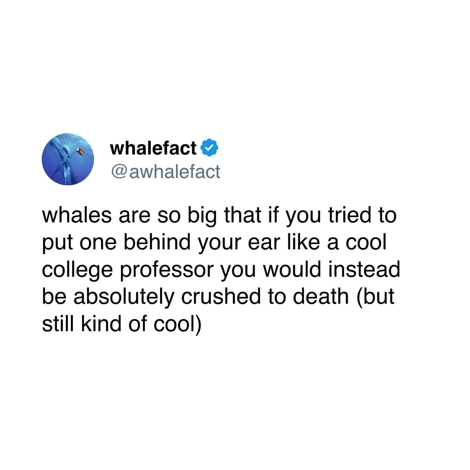 Whale Fact satirical tweet about the size of whales and their impact.