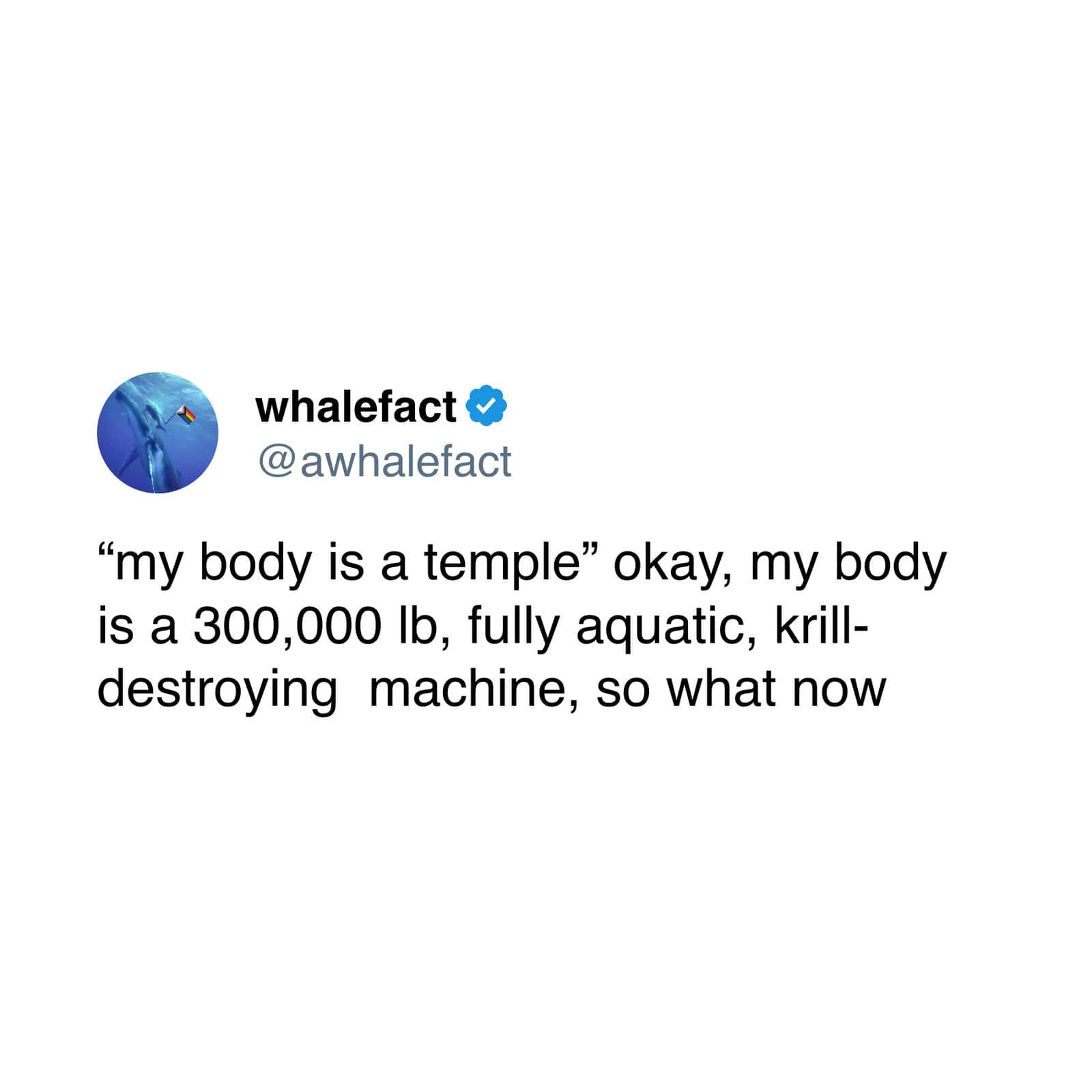 Whale fact quote about the whale's body being a "temple" and its size.