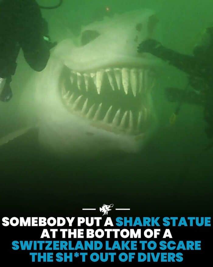 Underwater view of a shark statue at the bottom of a lake in Switzerland, surrounded by divers.