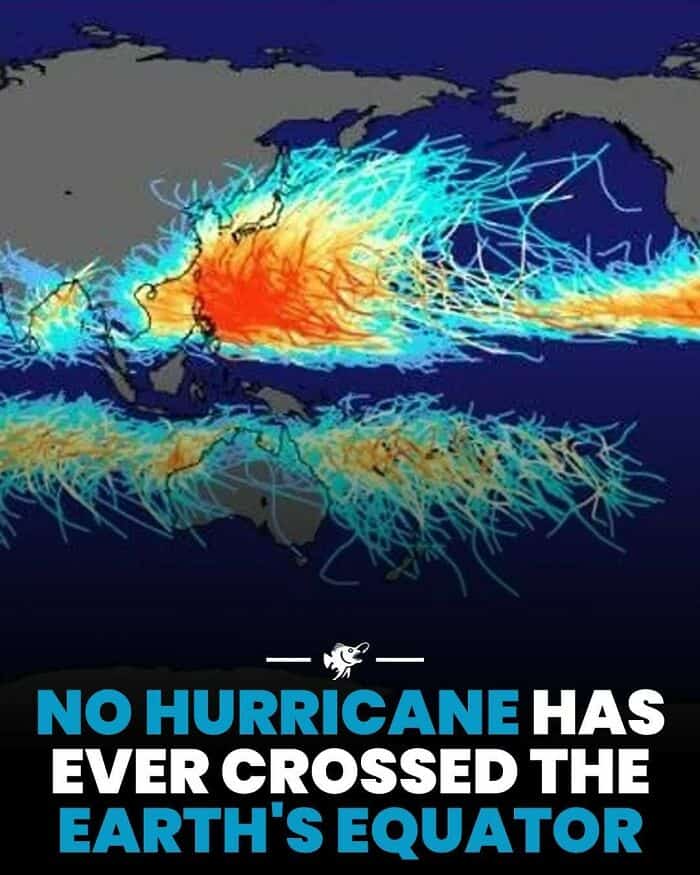 Dynamic visualization of hurricane wind streams crossing the Earth's equator.