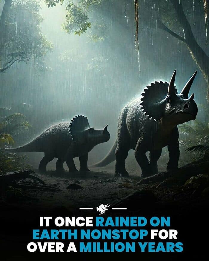 Dinosaurs in a misty prehistoric forest with rain, featuring a Triceratops and a Stegosaurus.
