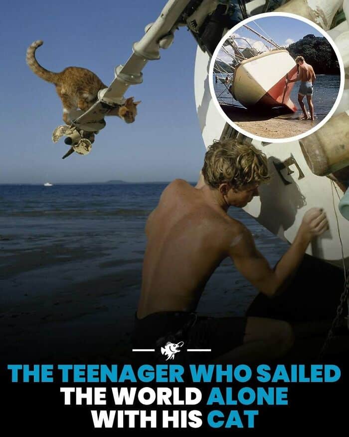 Teenager and cat on boat at the beach, exploring adventure and companionship.
