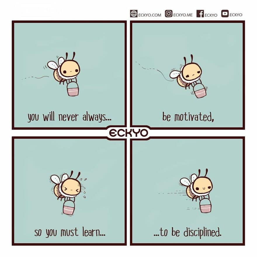 Motivational bee comic emphasizing discipline and learning with a humorous touch.