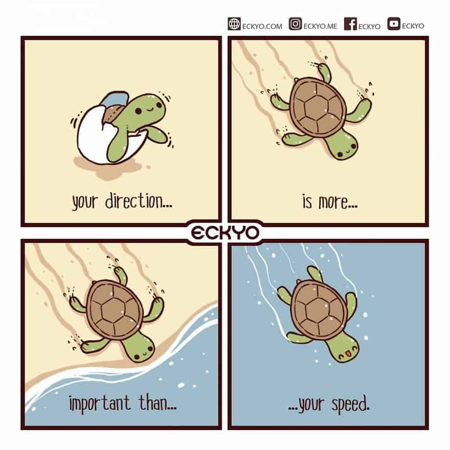 Turtle cartoon illustrating the importance of direction and speed in a humorous way.