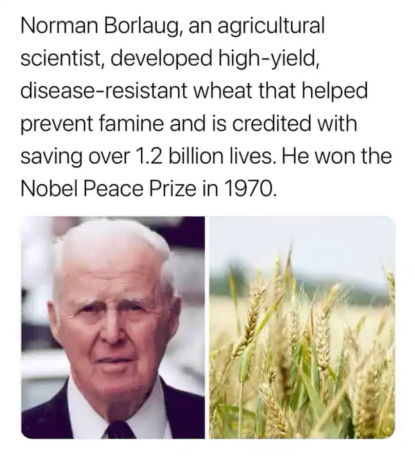 Norman Borlaug, agricultural scientist, with wheat fields, Nobel Peace Prize winner.
