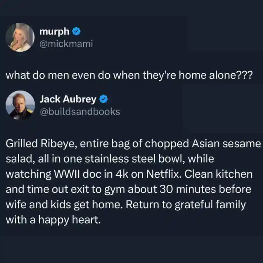 Funny meme image from Pleated Jeans showing a humorous conversation about men's activities at home.