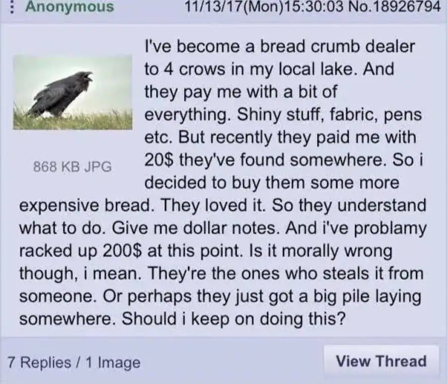Humorous meme image from Pleated Jeans featuring a crow and a humorous caption.