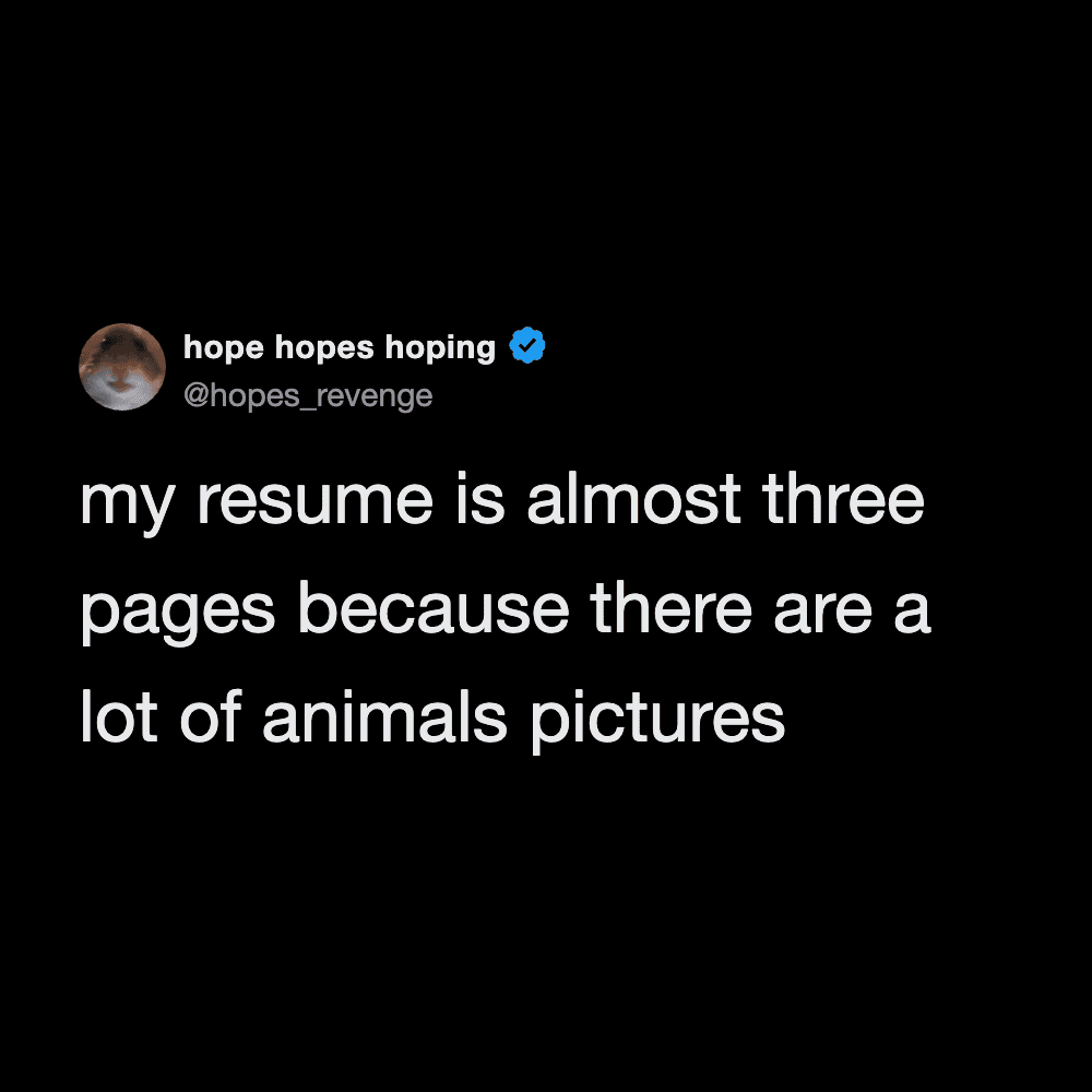 Funny animal pictures compilation for entertainment and viral sharing.