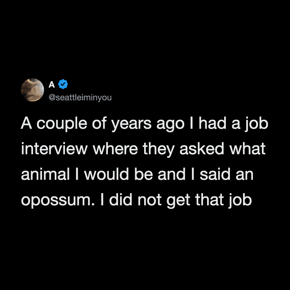 Humorous image featuring a tweet about a job interview and animal answer.
