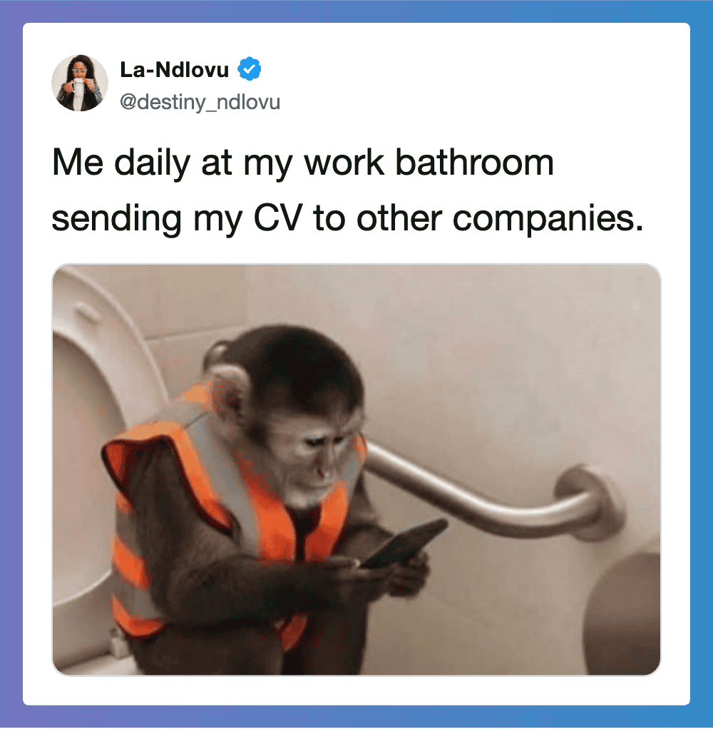 A monkey wearing an orange safety vest, sitting on a toilet, looking at a smartphone.