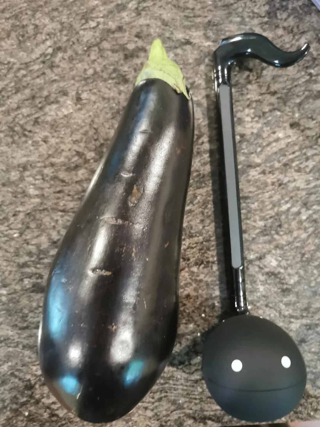 Eggplant next to a black cane with a round handle and white eyes.