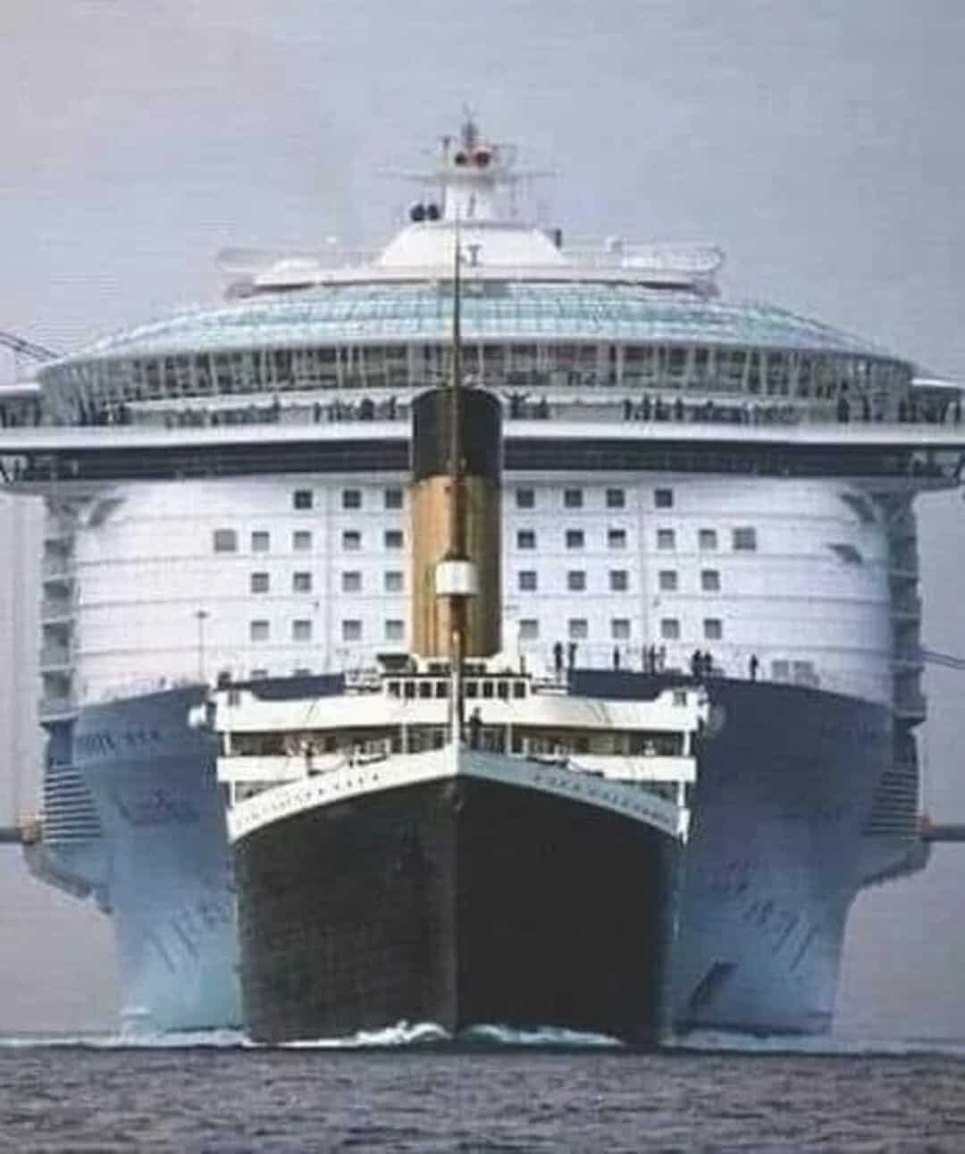 Large cruise ship viewed from the front, showing its massive size and structure.