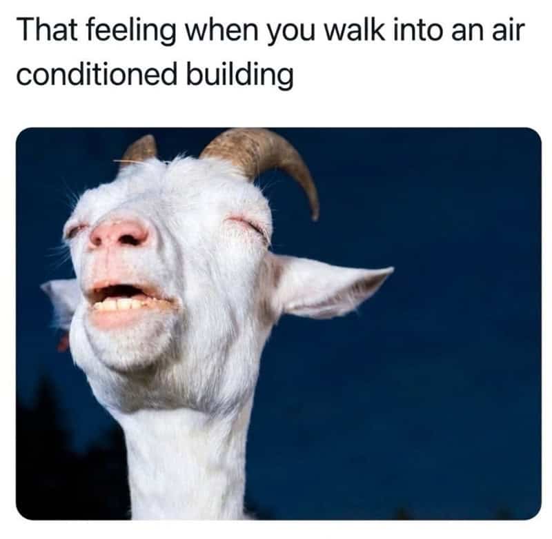 That feeling when you walk into an air conditioned building.