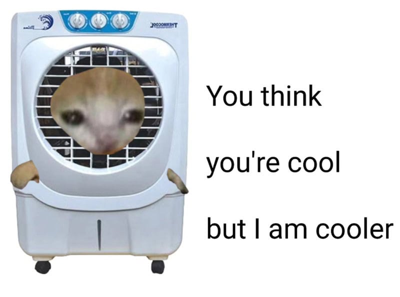 Cute animal face in a fan with text about being cooler.