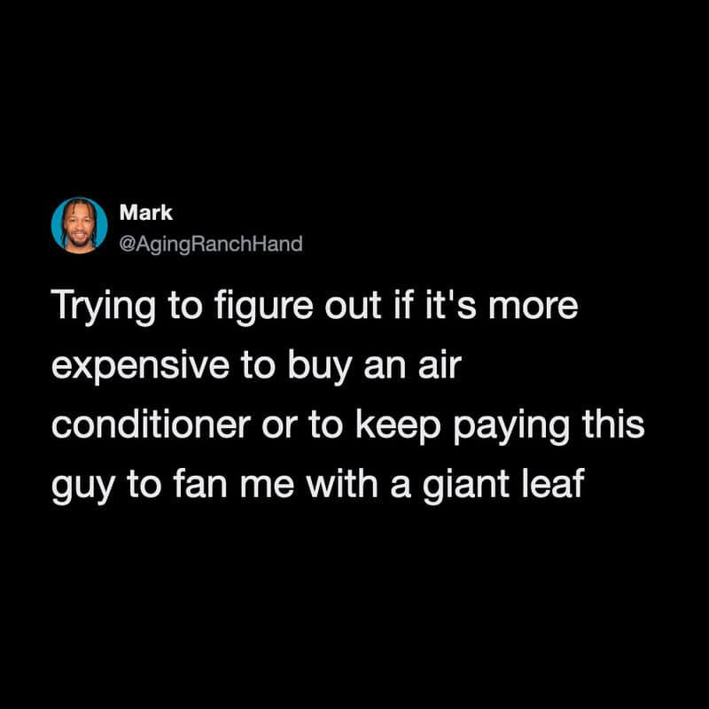 Trying to figure out if it's more expensive to buy an air conditioner or to keep paying this guy tof.