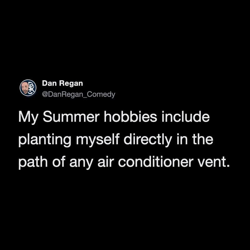 My summer hobbies include planting myself in front of air conditioner vents.