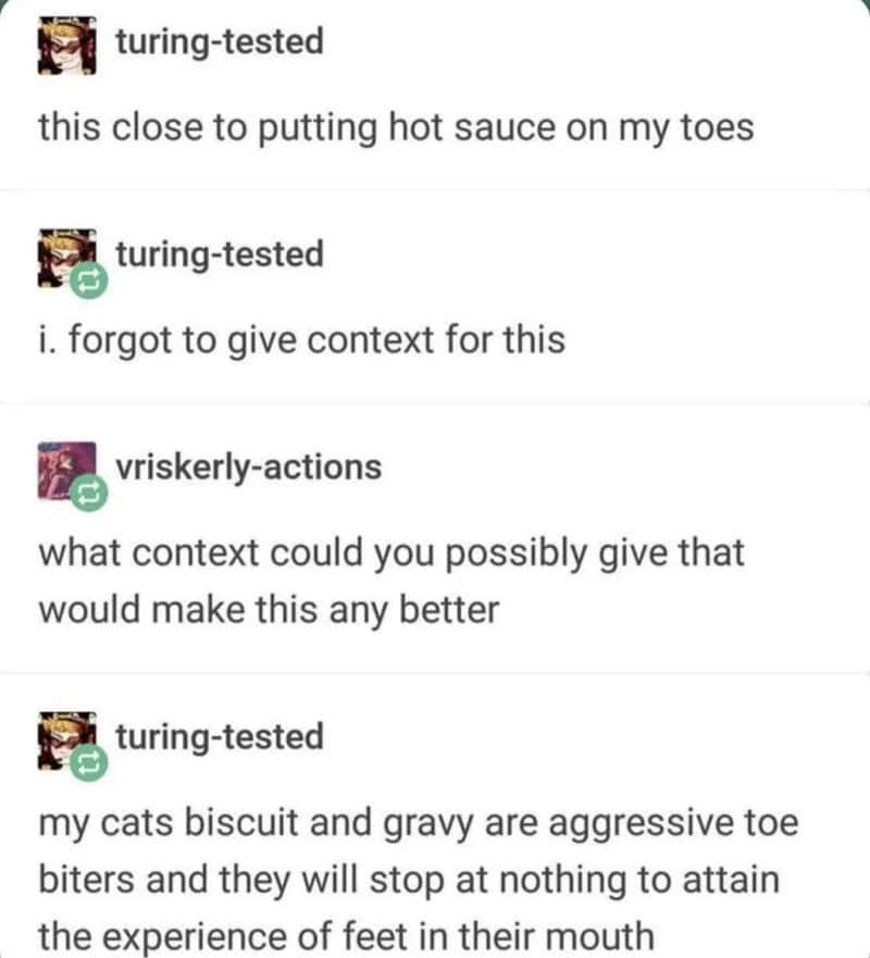 Cats biscuit and gravy are aggressive toe biters and will stop at nothing.