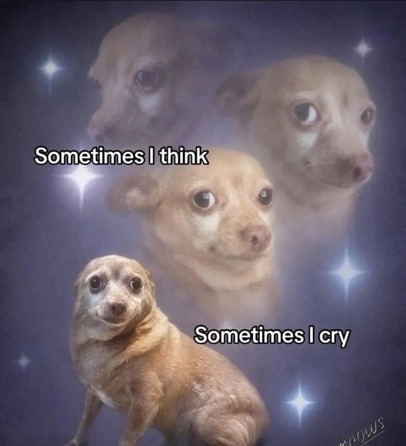 Dog with multiple head images and text: 'Sometimes I think, Sometimes I cry'.