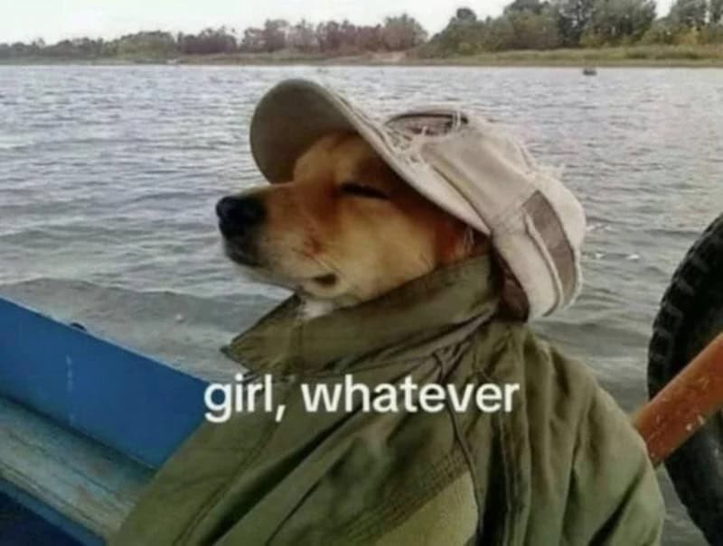 Dog wearing a hat and jacket on a boat with the text 'girl, whatever'.