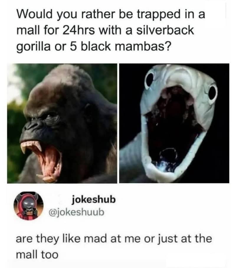 Would you rather be trapped in a mall with a gorilla or a snake?.
