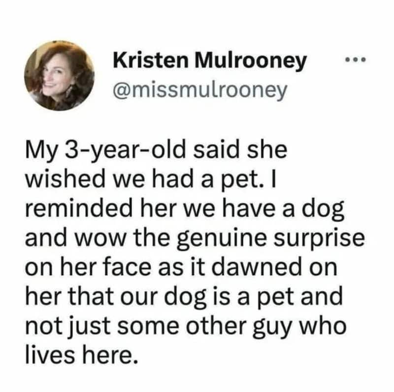 A 3-year-old girl surprised to learn her family has a dog, not just a pet.
