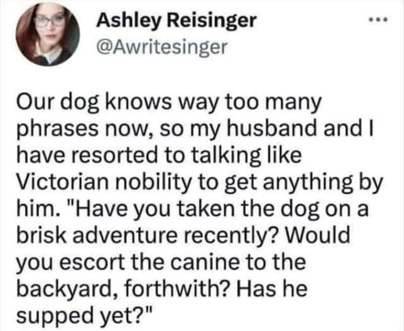 Ashley Reisinger shares a humorous story about talking like Victorian nobility to her dog.