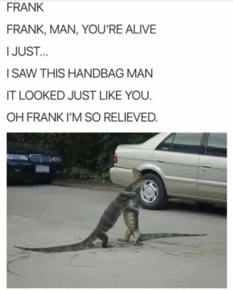 Cats hugging a handbag, with text about a cat and a handbag man.